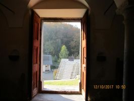 IMG_0130