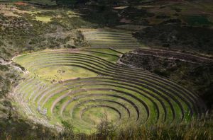 Peru_Moray